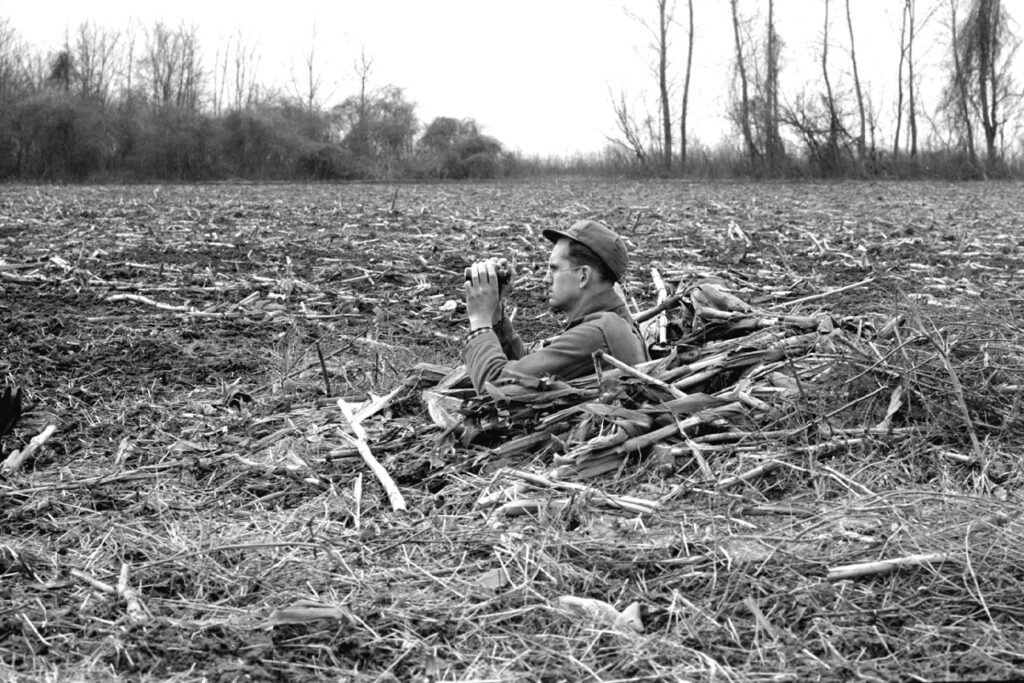 Man in goose hunter's pit with binoculars, 1941.